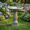 23.8 in. H Contemporary Concrete Pedestal Birdbath-Round 20 in. Dia