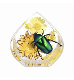 Green Rose chafer Beetle Teardrop Shape