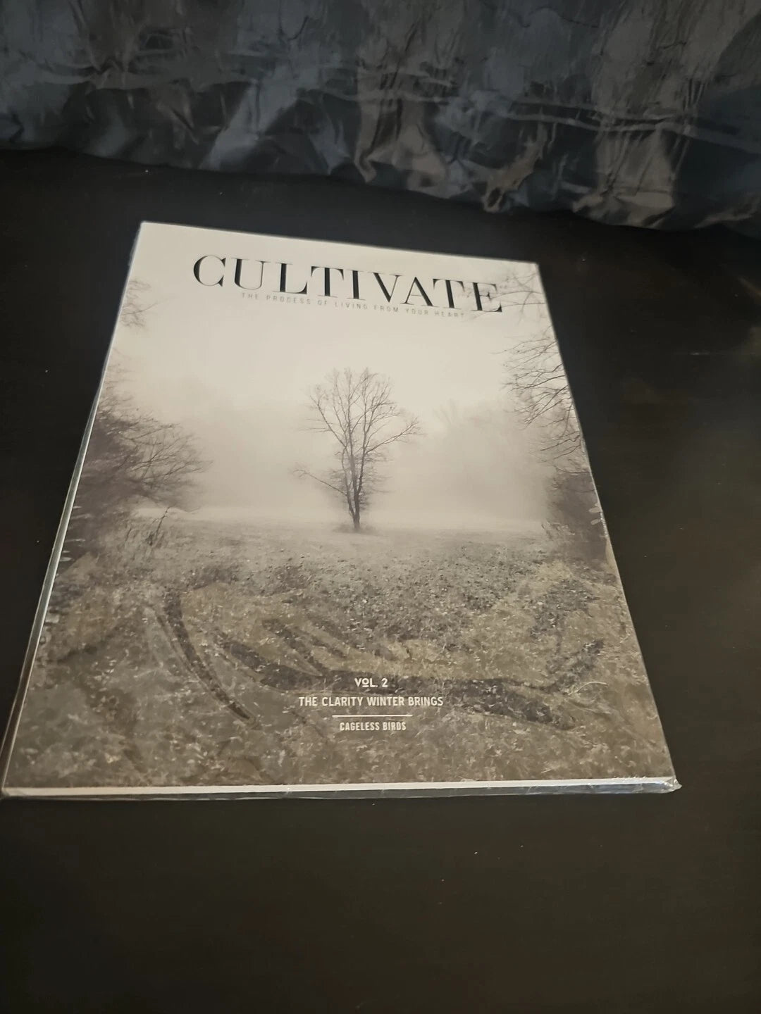Cultivate The Process Of Living From Your Heart VOL 2 The Clarity Winter Brings