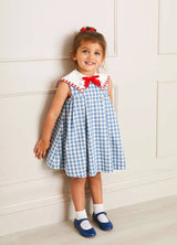 Pepa London Blue Embroidered Gingham Sleeveless Little Girl's Dress