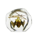 Hanging Bat in Acrylic Resin