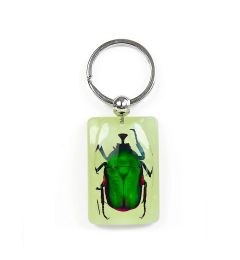 Green Rose Chafer Beetle Glow In The Dark Keychain